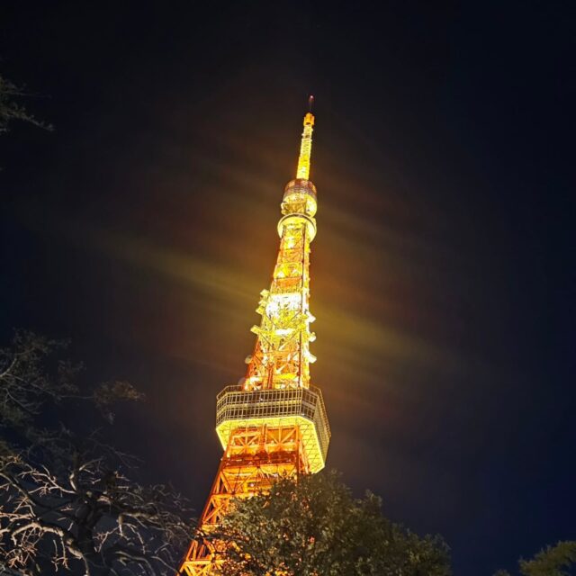 Tokyo Tower is always beautiful in winter.
Its light feels calmer and gentler in the clear, cold air.
Whenever I see this symbol of Tokyo,
it gives me a quiet sense of relief — like coming home.
In the middle of busy days,
knowing it’s still there, standing as it always has,
somehow brings comfort to the heart.
冬の東京タワーは、いつ見てもやっぱり綺麗。
澄んだ空気の中で灯る光は、どこか静かで、やさしい。
忙しい毎日の中で、ふと東京のシンボルが目に入ると、
「ああ、帰ってきたな」と、自然と心が緩みます。
変わらずそこに立ち続けてくれていることが、こんなにも人を安心させてくれるんだな、と感じる夜。

#TokyoTower
#WinterTokyo
#TokyoNight
#TokyoLights
#CitySymbol
#QuietMoments
#FindingCalm
#PeacefulNight
#UrbanScenery⁡
⁡⁡
⁡#東京タワー
#冬の東京
#東京夜景
#東京の風景
#夜の散歩
#ほっとする時間
#日常のひとコマ
#都会の癒し